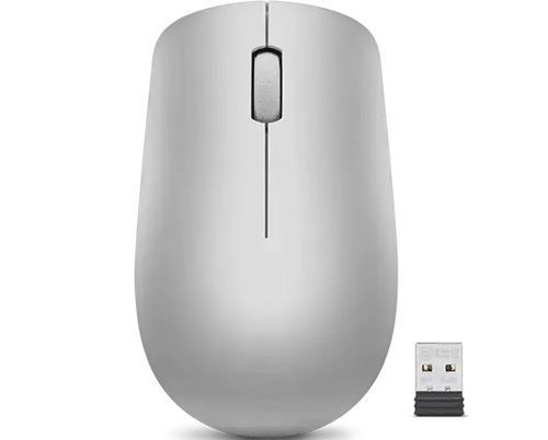 ����� Lenovo GY50Z18984 Lenovo 530 Wireless Mouse (Platinum Grey)